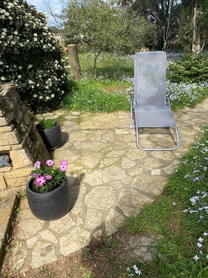 Studio Havre De Paix Au Pont Du Gard Piscine Et Jacuzzi Chez Valerie Payre Вер-Пон-дю-Гар Экстерьер фото